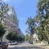 Photo 9: Street View
