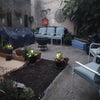 Photo 8: Private backyard 
