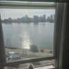 Photo 3: View from one of the living room windows