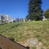 Photo 8: Park across the street