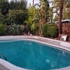 Photo 3: Backyard Pool