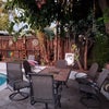 Photo 4: Backyard