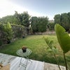 Photo 4: Yard or Patio
