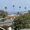 Photo 3: view from balcon