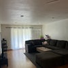 Photo 5: Living room
