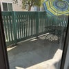 Photo 7: Patio