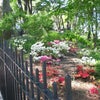 Photo 8: Riverside and Riverbank Parks