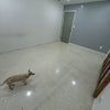Photo 3: Room (Yours)