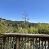 Photo 7: view from the deck