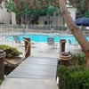 Photo 9: Pool #1 & Jacuzzi