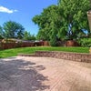 Photo 6: Back Yard 