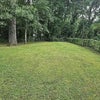 Photo 5: Back Yard