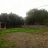 Photo 8: Backyard
