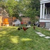 Photo 6: garden