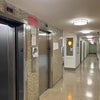 Photo 6: Clean halls 