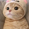 Photograph of Chaeyoung