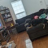 Photo 4: Living room and pet