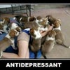 Photo 7: Puppy breath!!!! 🐾🐶