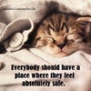 Photo 8: Love kitties too! 😺❤️