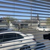Photo 3: Backyard