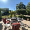 Photo 9: Patio and backyard with mature fruit trees: Apple, lemon, peach, cherry, plum, blackberry and grapes