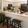 Photo 3: Kitchen- apt model
