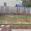 Photo 2: Backyard