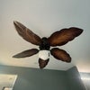 Photo 2: Ceiling Fan
