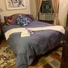 Photo 2: Bed