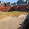 Photo 2: backyard