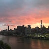 Photo 5: View from Roosevelt island_1