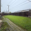 Photo 2: Backyard