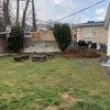 Photo 2: Yard
