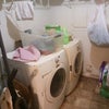 Photo 3: Laundry room