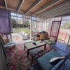 Photo 6: Back sunroom/patio