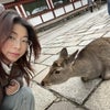 Photo 5: deer at nara park