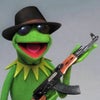 Photograph of Kermit The