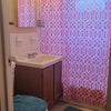 Photo 1: Private bathroom 347 Marion Street 