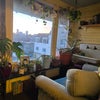 Photo 4: sun room / plant room