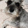 Photo 2: My sweet girl 
