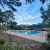 Photo 6: Pool