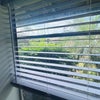 Photo 4: window
