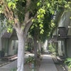 Photo 9: Beautiful courtyard