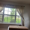 Photo 6: View while laying in bed