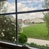 Photo 7: View out bedroom window from foot of bed.