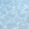 Photograph of Daisy_xX