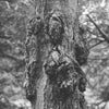 Photograph of Min Si
