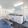 Photo 3: One of multiple laundry rooms. This one has 10 each washers and dryers. The others have four each. 