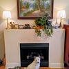 Photo 7: Fireplace & Mantle w/ Service Dog, Mitzi