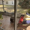 Photo 8: Patio